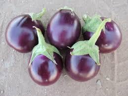 Solanum melongena Little Prince
