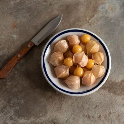 Physalis pruinosa aka Husk Cherries