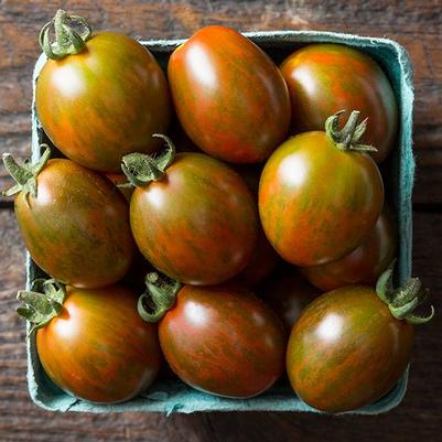 Solanum lycopersicon Chocolate Sprinkles