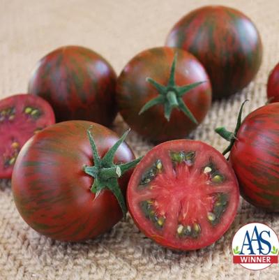 Solanum lycopersicon Purple Zebra