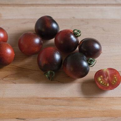Solanum lycopersicum Indigo Cherry Drops