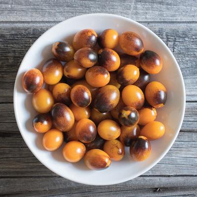 Solanum lycopersicum Indigo Kumquat