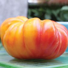 Solanum lycopersicum Pineapple Premier
