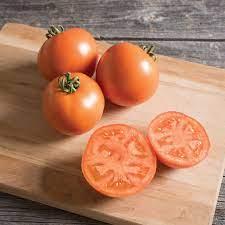 Solanum lycopersicon BHN 871