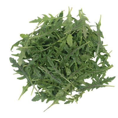 Eruca vesicaria Nemisis