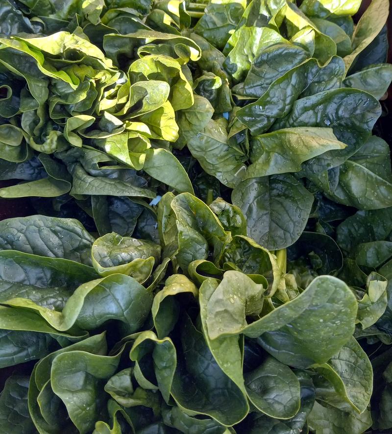 Spinach Sauté