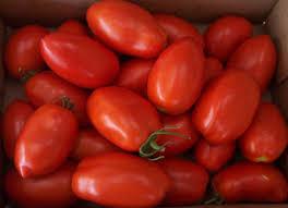 Fresh Tomato Marinara Sauce